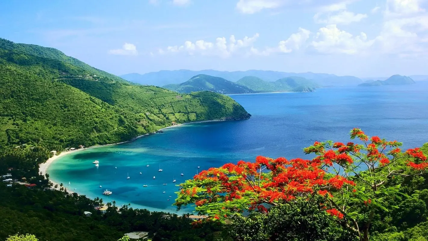 高精度电子电子